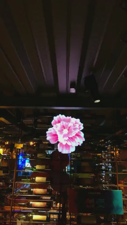 ACEVSN 30.3 Inch 3D Hologram Fan Display | 1280 LEDs WiFi Advertising Display